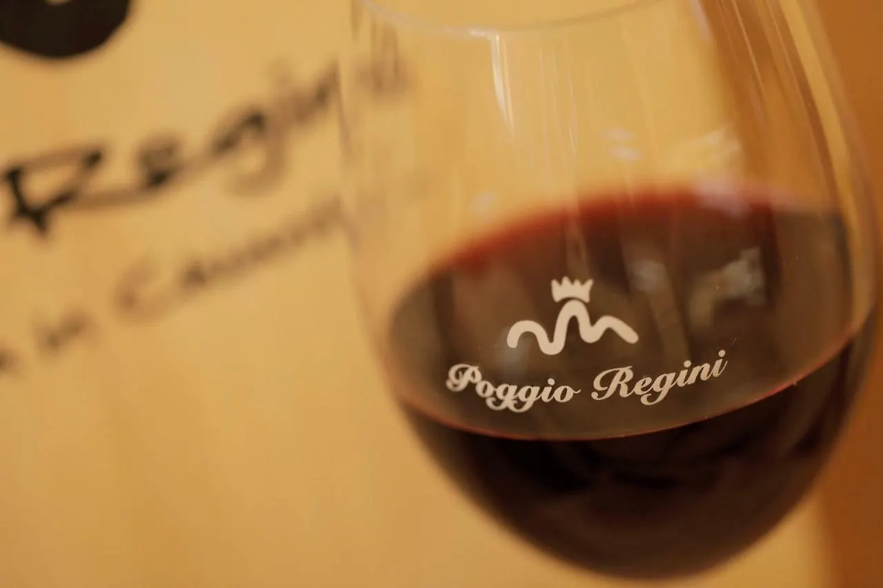 Appartamento Az.Agr.Poggio Regini Castellina in Chianti 0*,