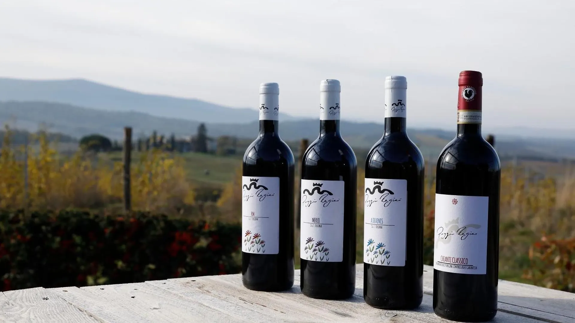 Apartamento Az.Agr.Poggio Regini Castellina in Chianti